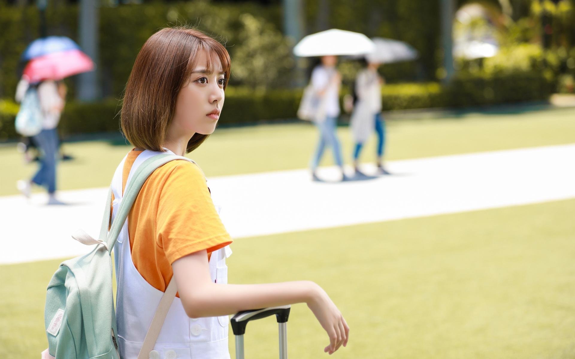 _年度公众投票选择赛事：粉丝主导的精彩活动_，公众号投票活动方案