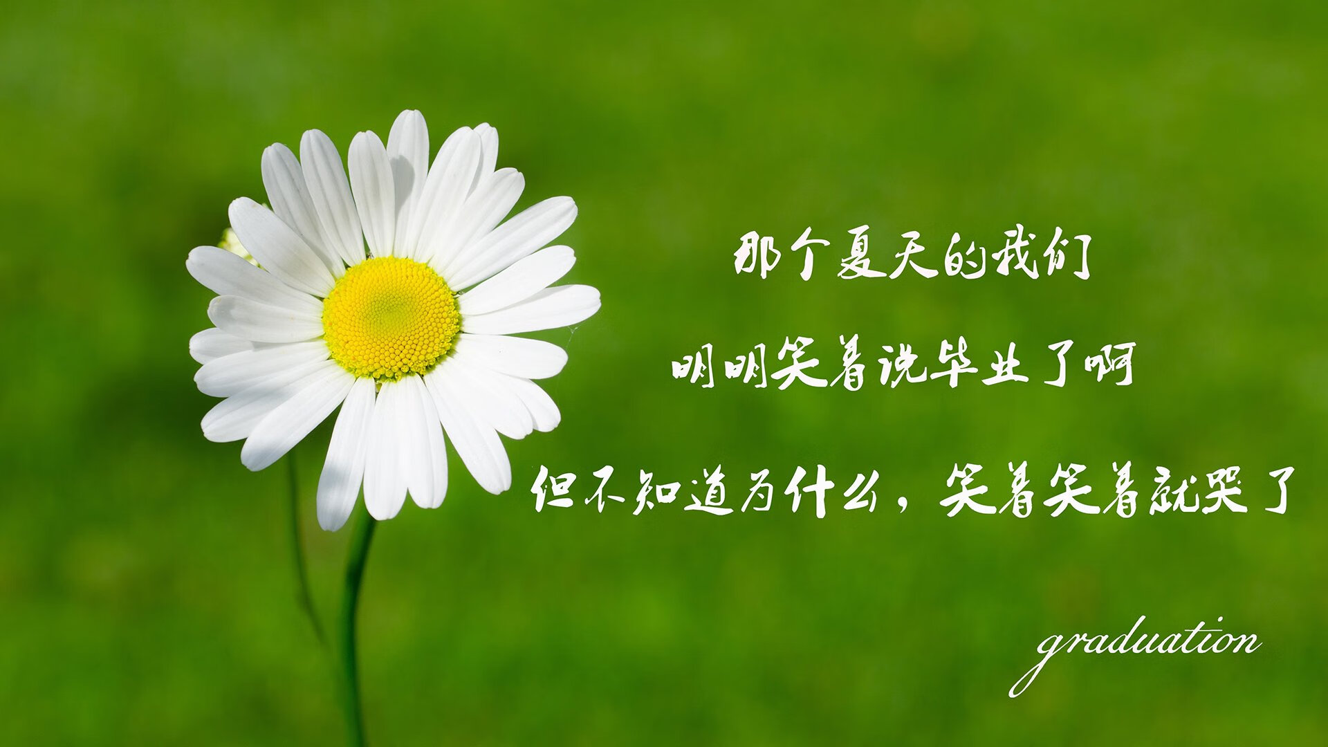 意甲比赛，战术变化令人叹为观止，精彩不断，意甲比赛,战术变化令人叹为观止,精彩不断