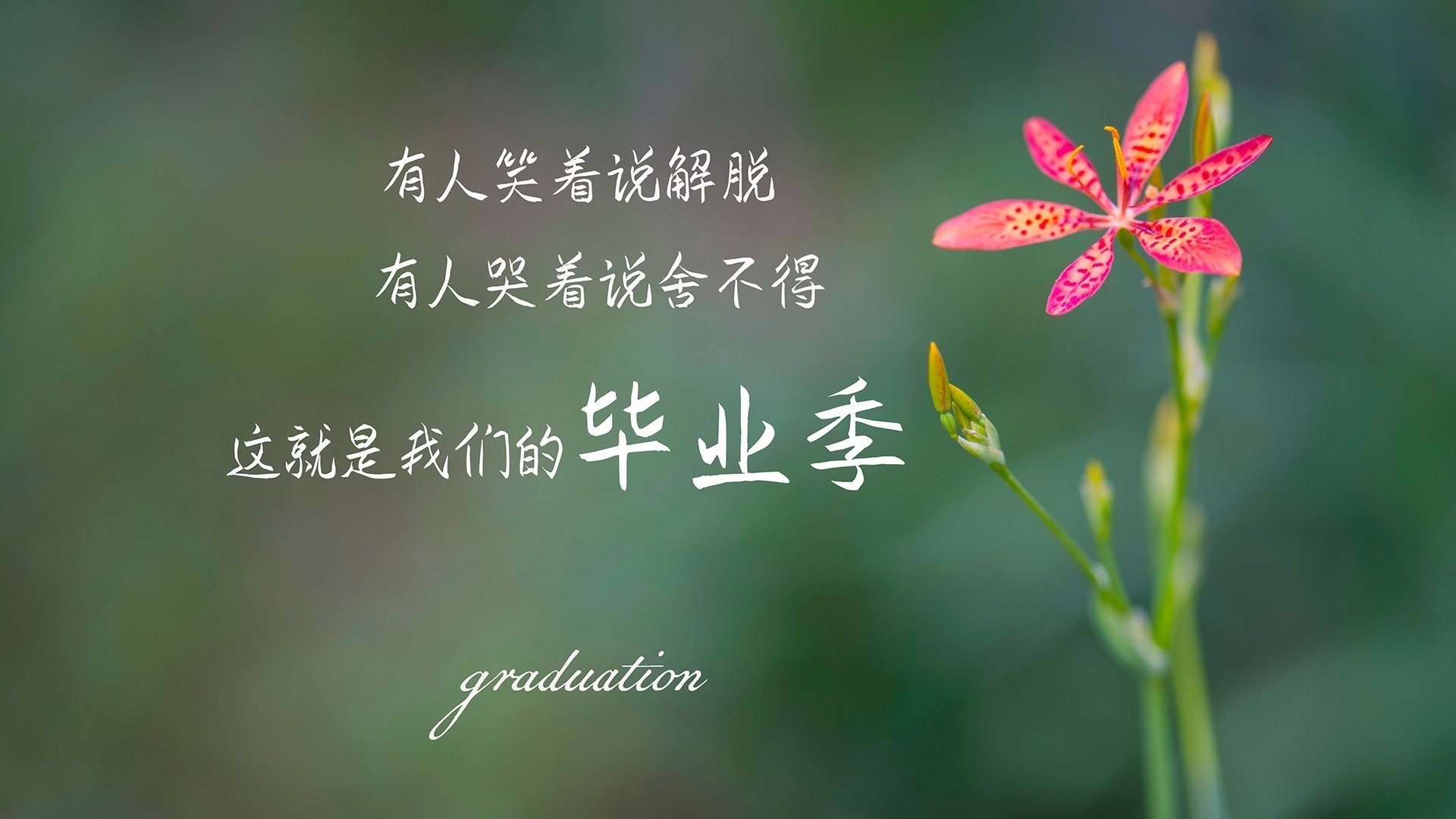 社会媒体热议：台球精彩瞬间集锦，台球片段