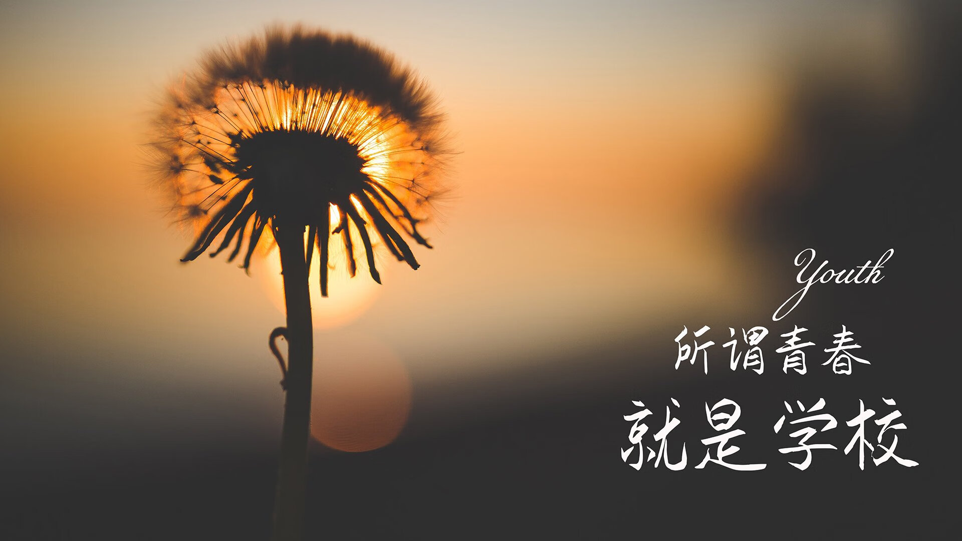 伯恩茅斯主场逆转胜利，保级前景一片光明，伯恩茅斯比赛直播