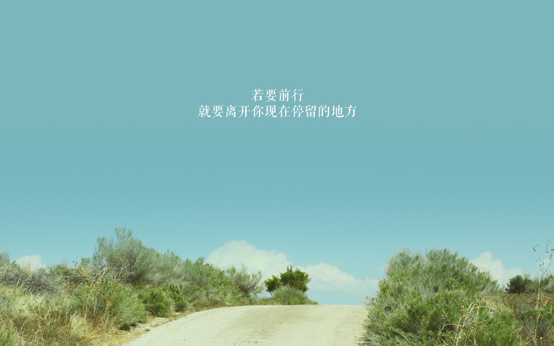多特蒙德客场1-1战平柏林联合，遭遇平局，多特蒙德vs柏林赫塔l