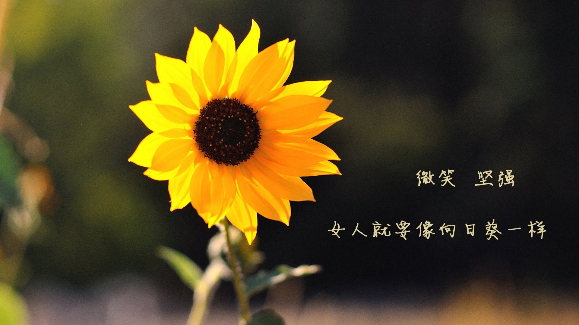 欧锦赛资格赛第二轮对决，势均力敌争夺晋级，欧锦赛2021赛制
