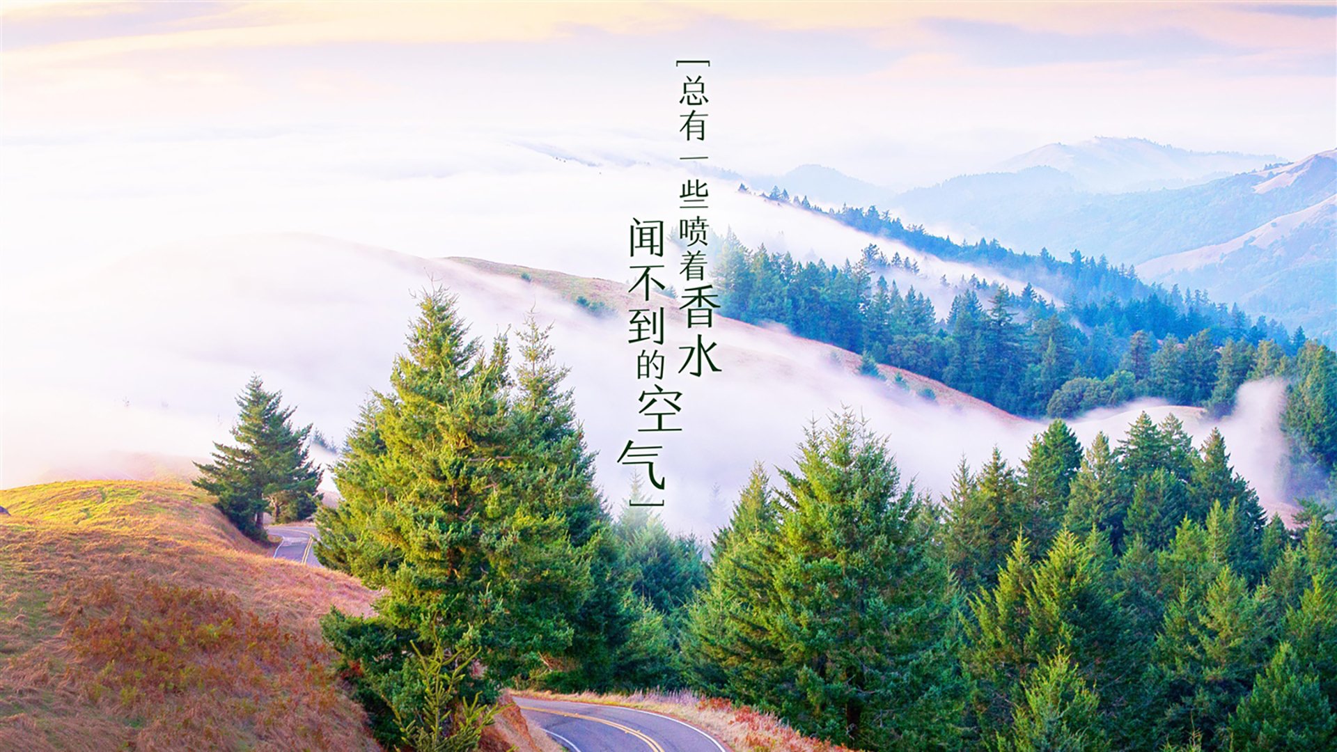 中国足球俱乐部运营效率调查，中国足球俱乐部运营效率调查问卷