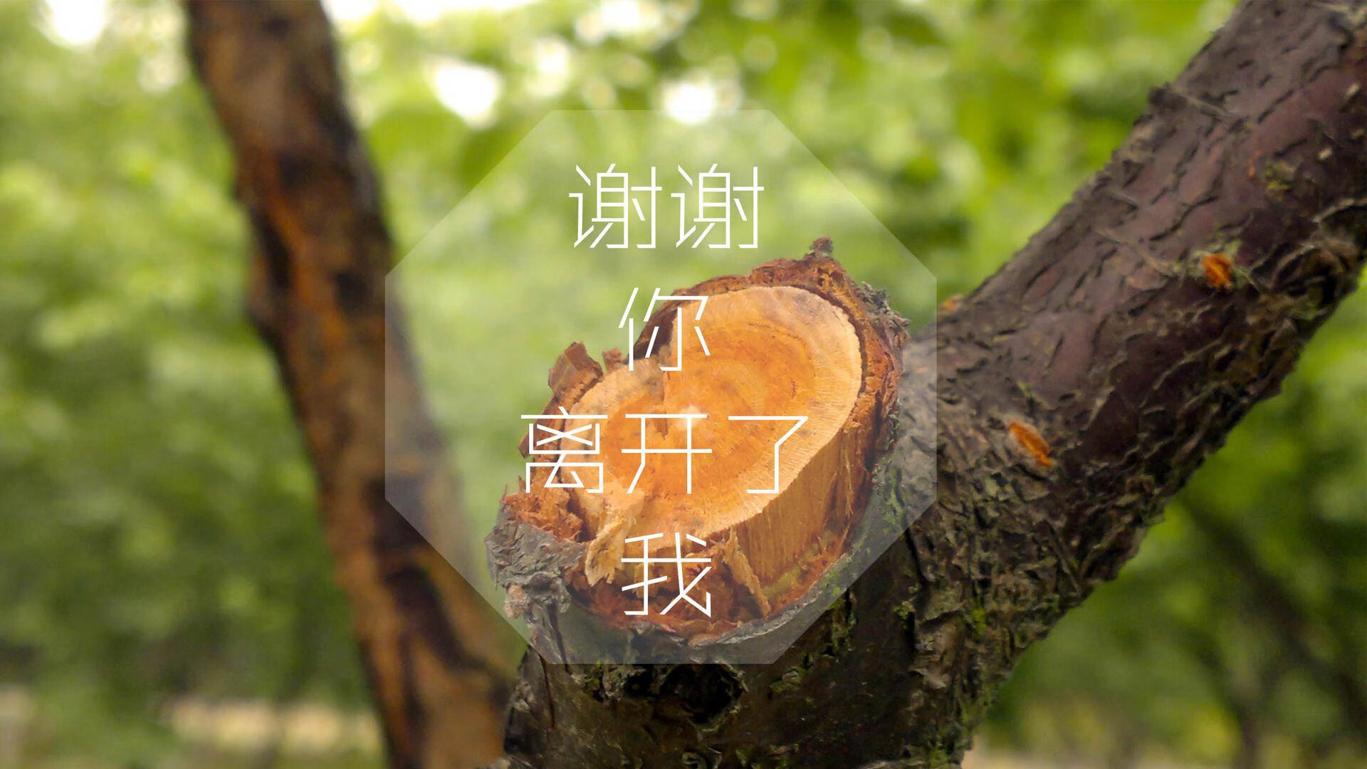 开云平台-仰泳单项 中国新星首次击败澳洲老将，仰泳 冠军