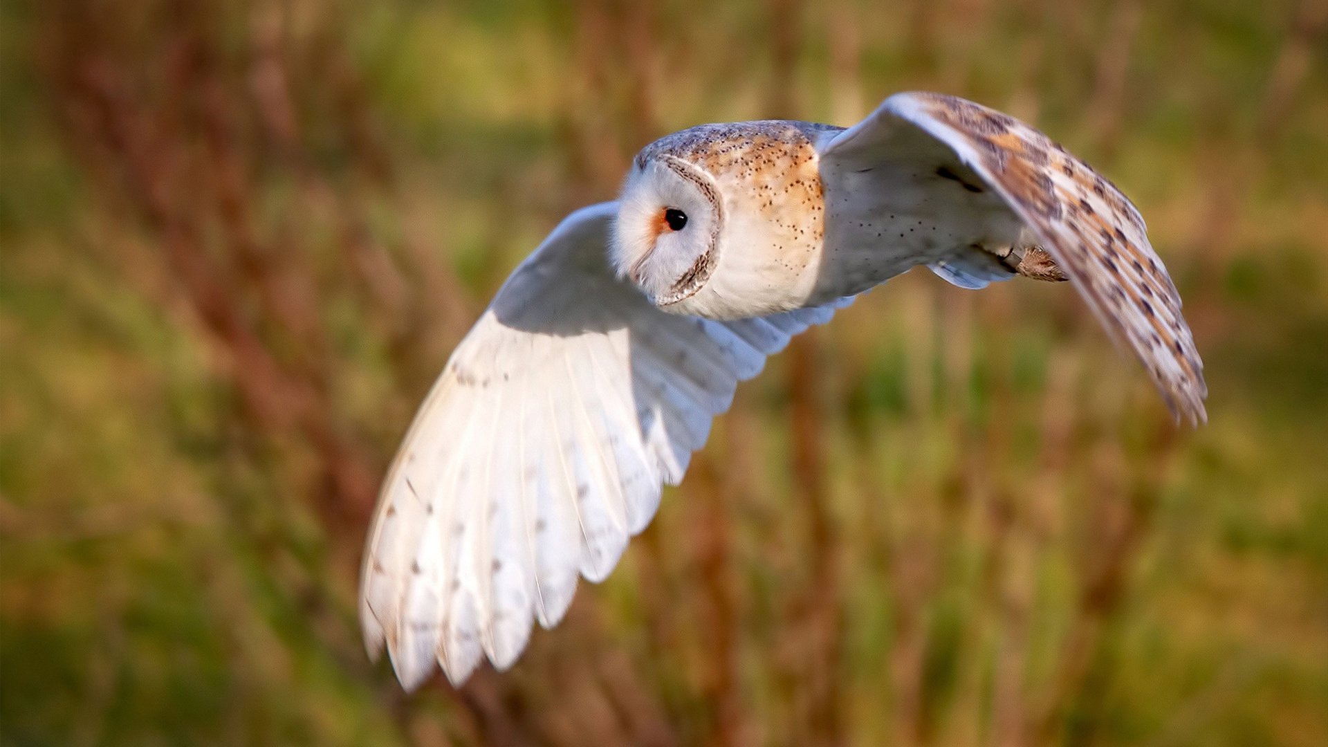 节奏变化快的比赛是否更容易爆出冷门,节奏较快