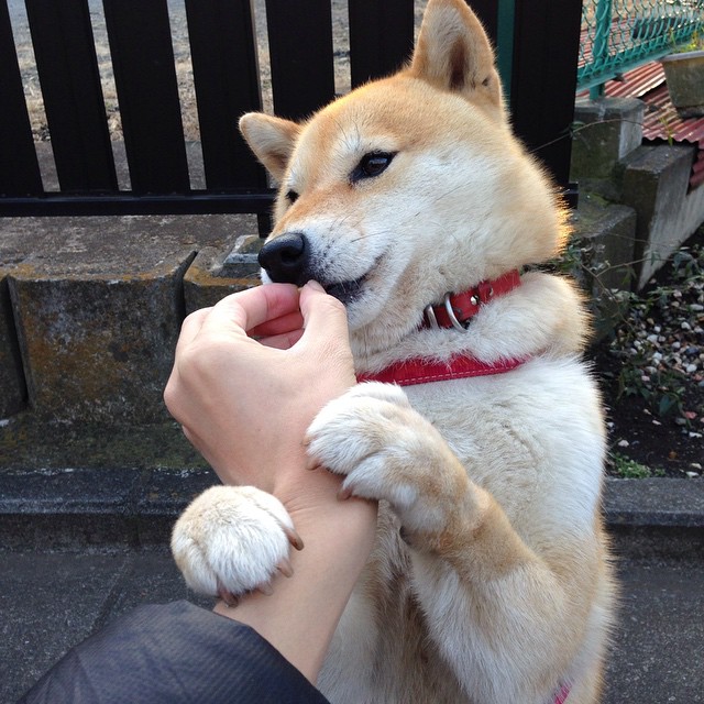 体育新闻中心国际赛事走向,国内体育新闻报道