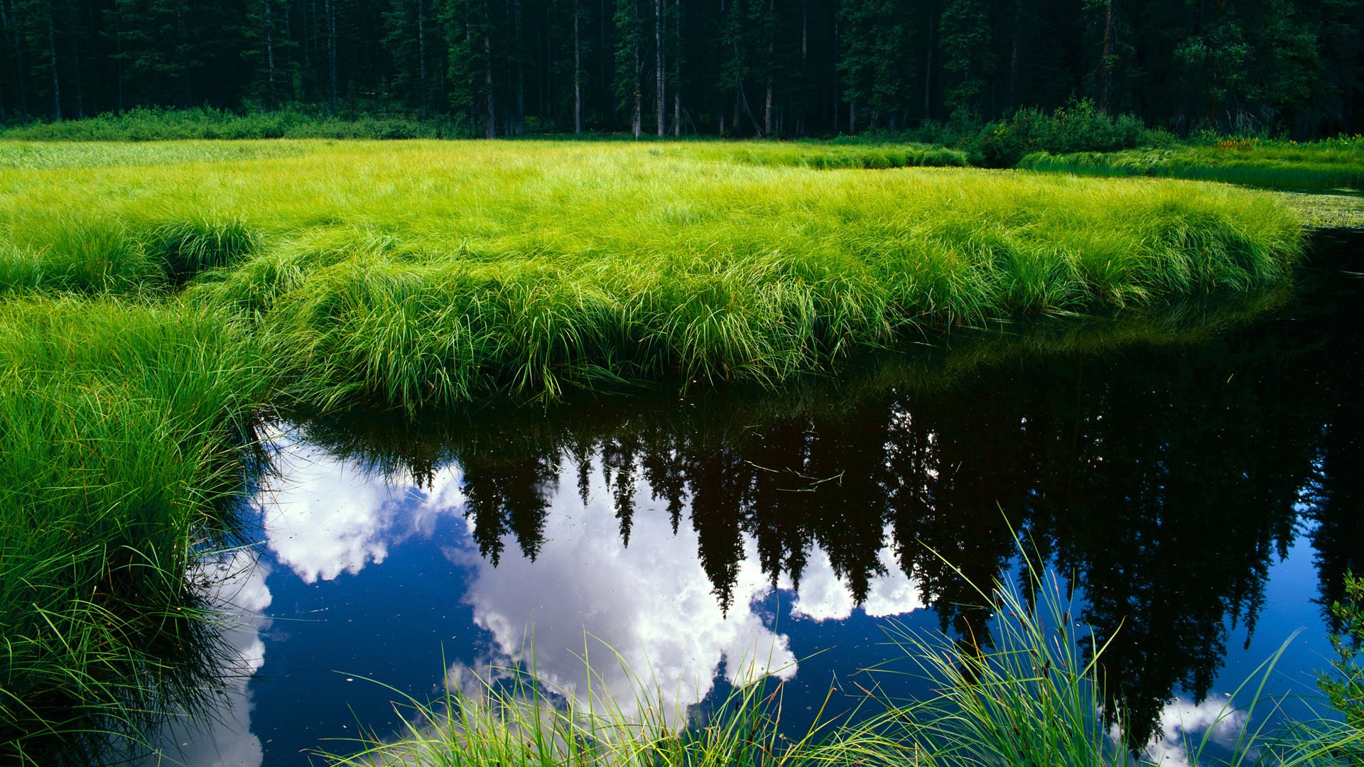 恩多比·恩乔：为南非队提供稳定保障，攻防两端都不容小觑，恩多西 是什么意思