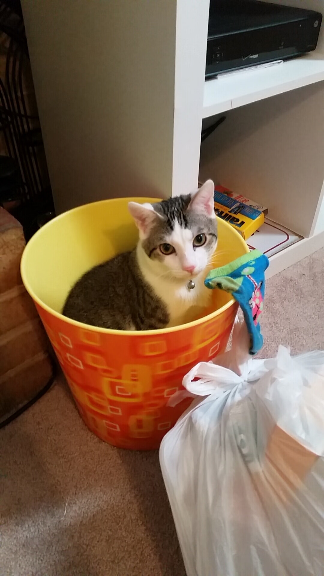 开云官方-斯洛文尼亚女篮在欧洲锦标赛中夺取亚军，表现令人期待，斯洛文尼亚女篮u20