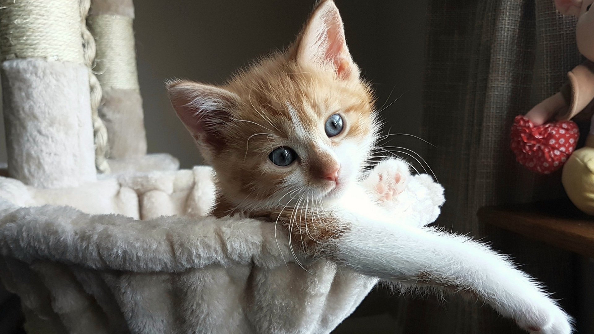 Kaiyun(中国)开云-霍特·巴雷特：全黑队进攻中的“节奏控制者”，每次传球都充满威胁