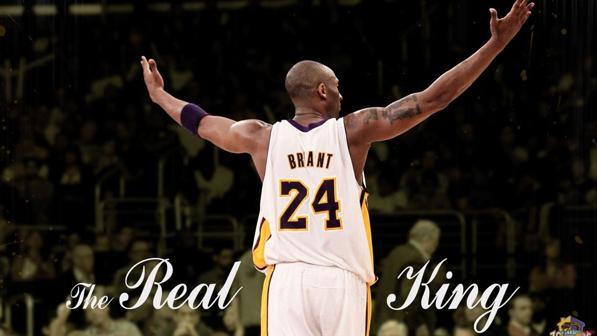 2010年季后赛：雷霆以年轻的阵容奋战，韦斯布鲁克多次“黑马”表现惊艳全场。